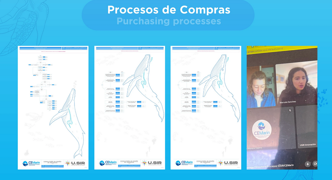Administrative process flow diagrams CEMarin